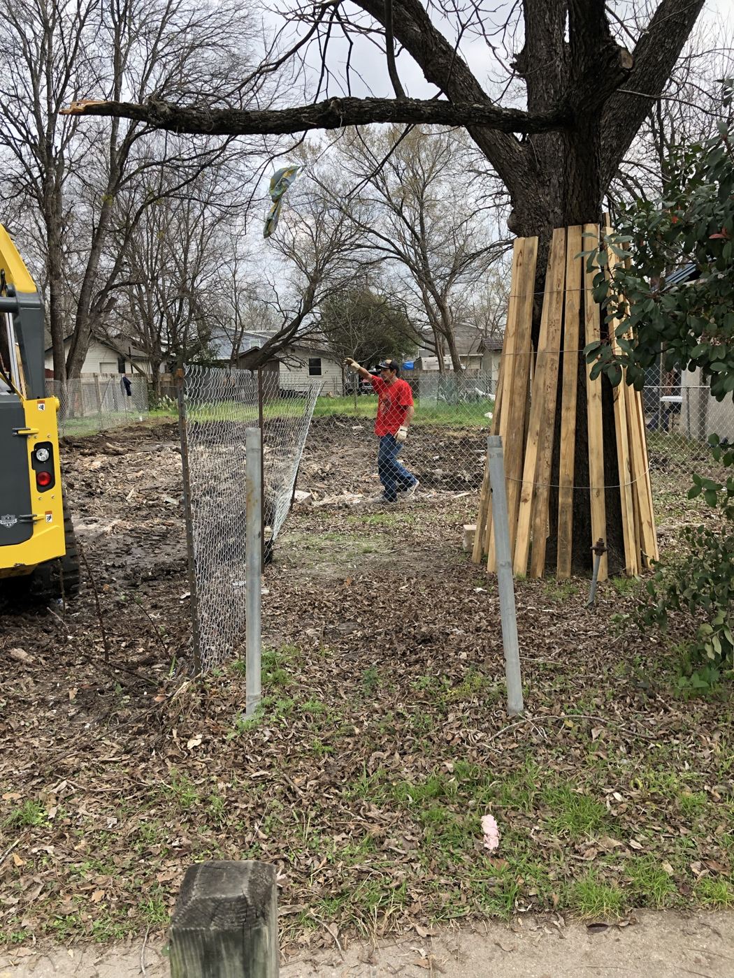 Tree protection wrap on a mature tree, Vargas Street condos design-build in Austin
